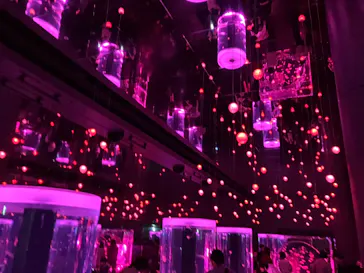 マクセル アクアパーク品川に投稿された画像（2023/11/9）