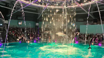 マクセル アクアパーク品川に投稿された画像（2023/11/9）