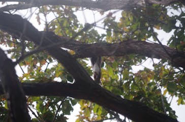 ノーザンホースパークに投稿された画像（2023/11/9）