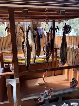 のぼりべつクマ牧場に投稿された画像（2023/11/9）