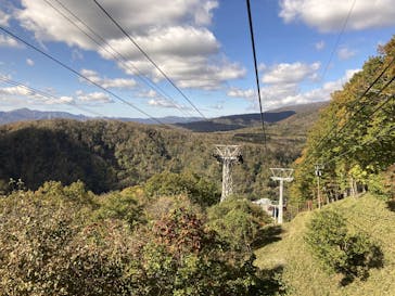 のぼりべつクマ牧場に投稿された画像（2023/11/9）