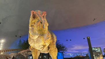 福井県立恐竜博物館に投稿された画像（2023/11/9）