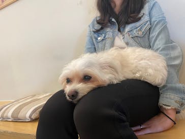 Moff アニマル カフェ イーアス 高尾店に投稿された画像（2023/11/8）