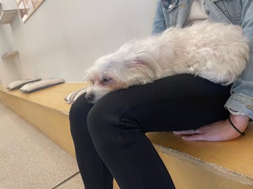 Moff アニマル カフェ イーアス 高尾店に投稿された画像（2023/11/8）