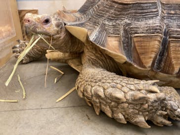 Moff アニマル カフェ イーアス 高尾店に投稿された画像（2023/11/8）