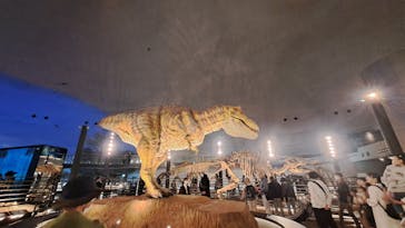 福井県立恐竜博物館に投稿された画像（2023/11/9）