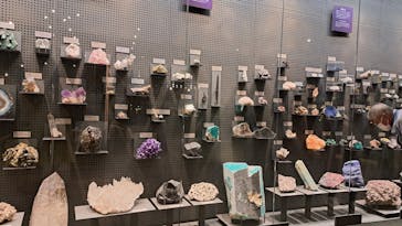 福井県立恐竜博物館に投稿された画像（2023/11/9）