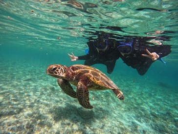 宮古島 ADVENTURE PiPi（ミヤコジマ アドベンチャー ピピ）に投稿された画像（2023/11/9）