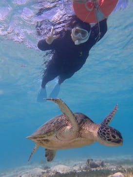 nico 宮古島に投稿された画像（2023/11/9）