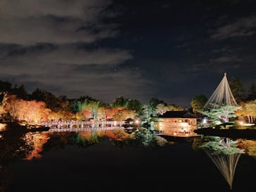 国営昭和記念公園 秋の夜散歩に投稿された画像（2023/11/9）