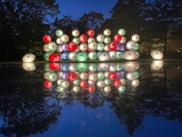 国営昭和記念公園 秋の夜散歩に投稿された画像（2023/11/9）