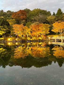 国営昭和記念公園 秋の夜散歩に投稿された画像（2023/11/9）
