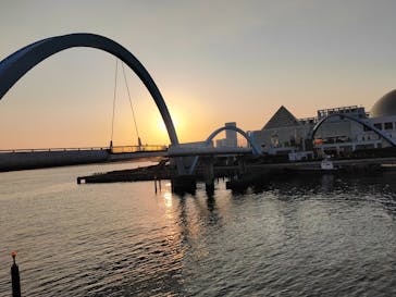 名古屋港水族館に投稿された画像（2023/11/9）