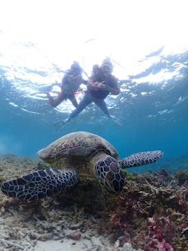 宮古島マリン GB QUESTに投稿された画像（2023/11/9）