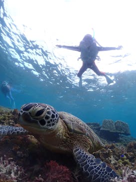 宮古島マリン GB QUESTに投稿された画像（2023/11/9）