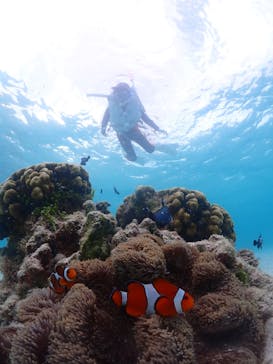 宮古島マリン GB QUESTに投稿された画像（2023/11/9）