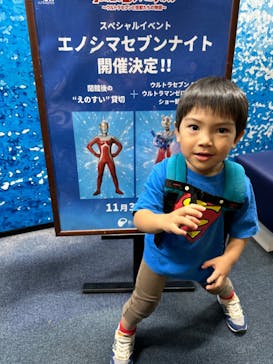 新江ノ島水族館に投稿された画像（2023/11/9）