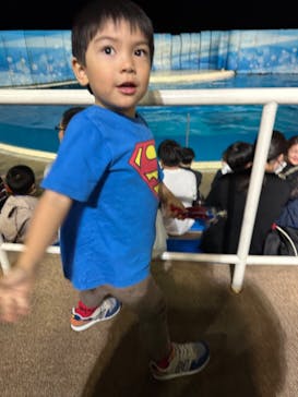 新江ノ島水族館に投稿された画像（2023/11/9）