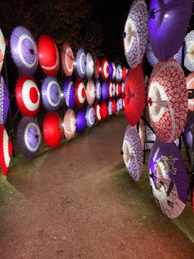 国営昭和記念公園 秋の夜散歩に投稿された画像（2023/11/9）