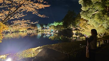 国営昭和記念公園 秋の夜散歩に投稿された画像（2023/11/9）