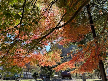 碓氷峠鉄道文化むらに投稿された画像（2023/11/9）
