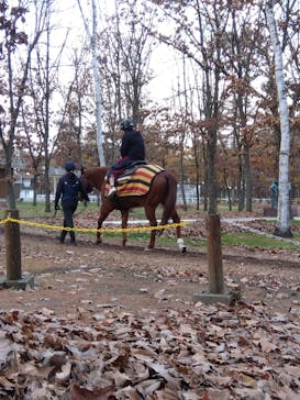 ノーザンホースパークに投稿された画像（2023/11/9）