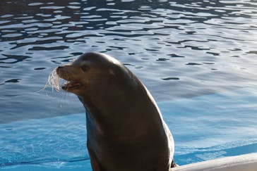 仙台うみの杜水族館に投稿された画像（2023/11/10）