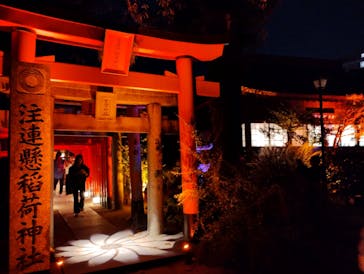 博多ライトアップウォーク実行委員会に投稿された画像（2023/11/10）