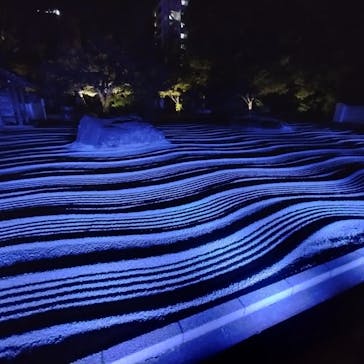 博多ライトアップウォーク実行委員会に投稿された画像（2023/11/10）