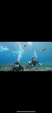 武藤潜水に投稿された画像（2023/11/10）