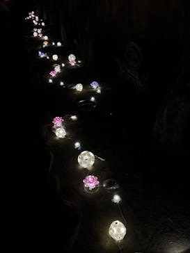 博多ライトアップウォーク実行委員会に投稿された画像（2023/11/10）