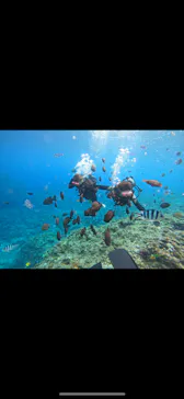 武藤潜水に投稿された画像（2023/11/10）