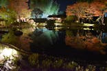 国営昭和記念公園 秋の夜散歩に投稿された画像（2023/11/10）