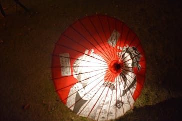 国営昭和記念公園 秋の夜散歩に投稿された画像（2023/11/10）