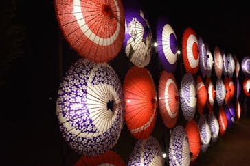 国営昭和記念公園 秋の夜散歩に投稿された画像（2023/11/10）