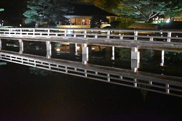 国営昭和記念公園 秋の夜散歩に投稿された画像（2023/11/10）