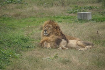 岩手サファリパークに投稿された画像（2023/11/10）