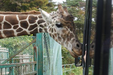 岩手サファリパークに投稿された画像（2023/11/10）