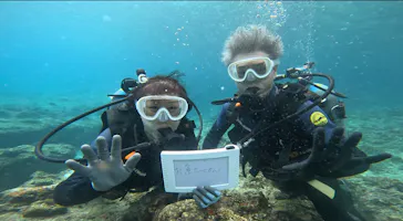 武藤潜水に投稿された画像（2023/11/10）