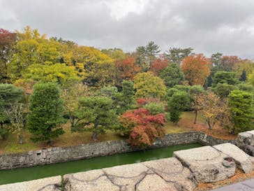 元離宮二条城に投稿された画像（2023/11/10）