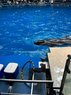 マクセル アクアパーク品川に投稿された画像（2023/11/10）