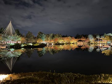 国営昭和記念公園 秋の夜散歩に投稿された画像（2023/11/10）