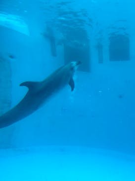 名古屋港水族館に投稿された画像（2023/11/10）