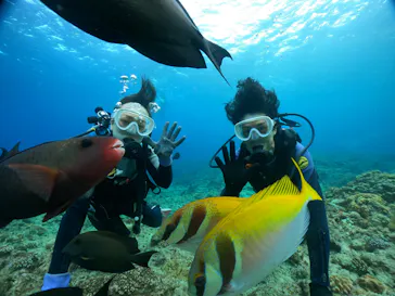 武藤潜水に投稿された画像（2023/11/10）