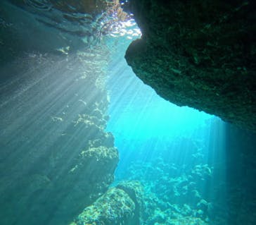 青の洞窟専門店　沖縄ダイビングショップ和に投稿された画像（2023/11/10）