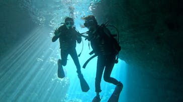 青の洞窟専門店　沖縄ダイビングショップ和に投稿された画像（2023/11/10）