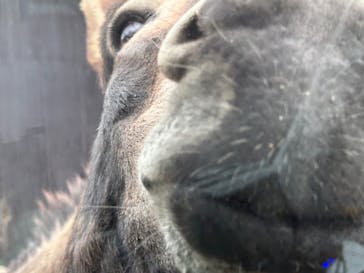 那須サファリパークに投稿された画像（2023/11/10）