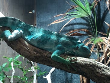 体感型動物園iZooに投稿された画像（2023/11/10）