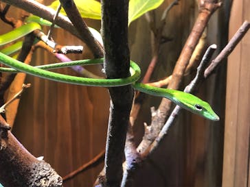 体感型動物園iZooに投稿された画像（2023/11/10）