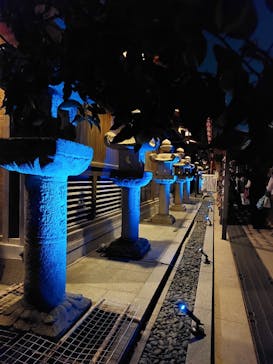 博多ライトアップウォーク実行委員会に投稿された画像（2023/11/10）